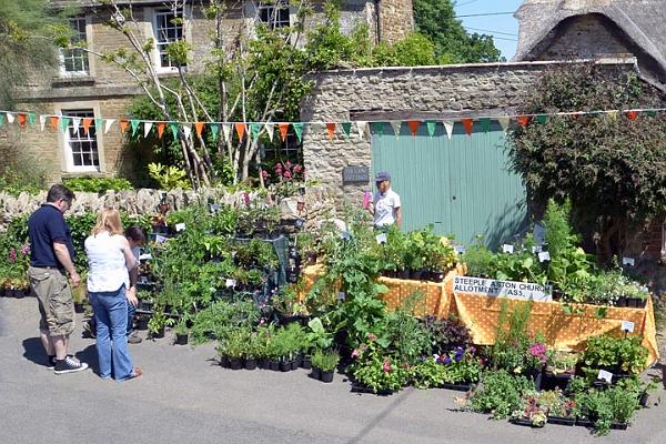 36. Allotment Association plant stall.jpg